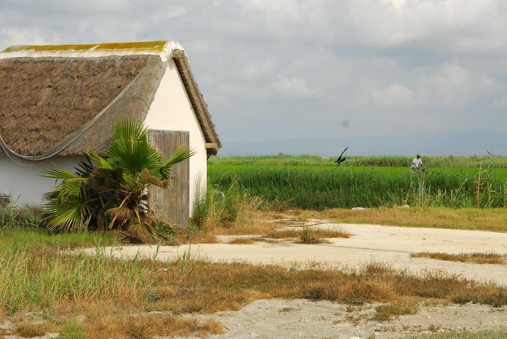 Birds&Nature L'Eucaliptus Εξωτερικό φωτογραφία